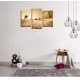 Obrazy na stenu - Ťava v púšti - 3dielny 75x50cm