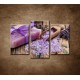 Obrazy na stenu - Levanduľové mydlo - 3-dielny 75x50cm