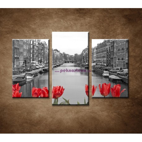 Obrazy na stenu - Tulipány v Amsterdame - 3dielny 75x50cm