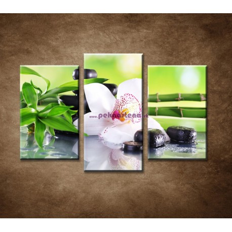 Obrazy na stenu - Bambusové vetvičky s orchideou - 3dielny 75x50cm