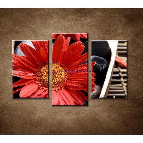 Obrazy na stenu - Červené kvety a kamene - 3dielny 75x50cm