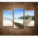 Obrazy na stenu - Húpačka na pláži - 3dielny 75x50cm