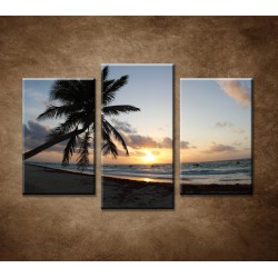Obrazy na stenu - Východ slnka na pláži - 3dielny 75x50cm
