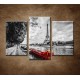 Obrazy na stenu - Červená loďka - 3-dielny 75x50cm