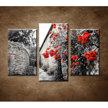Obrazy na stenu - Červené ruže - 3-dielny 75x50cm