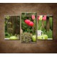 Obrazy na stenu - Kytica farebných tulipánov - 3-dielny 75x50cm
