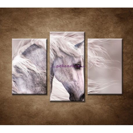 Obrazy na stenu - Šedý koník - 3dielny 75x50cm