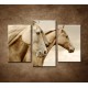 Obrazy na stenu - Krásne kone - 3dielny 75x50cm