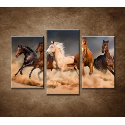 Obrazy na stenu - Stádo koní - 3dielny 75x50cm
