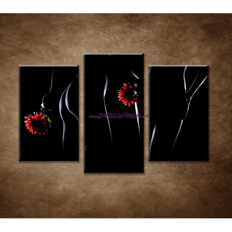 Obrazy na stenu - Nahé telá - 3dielny 75x50cm