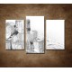 Obrazy na stenu - Kocky ľadu - 3dielny 75x50cm