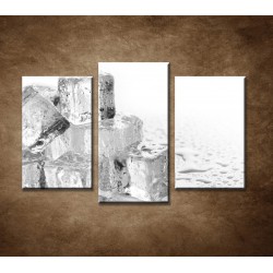 Obrazy na stenu - Kocky ľadu - 3dielny 75x50cm