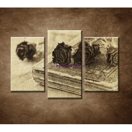 Obrazy na stenu - Ruže a kniha - 3dielny 75x50cm