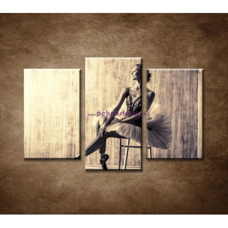 Obrazy na stenu - Profesionálna baletka - 3dielny 75x50cm