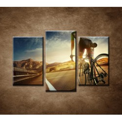 Obrazy na stenu - Cyklistka - 3dielny 75x50cm