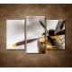 Obrazy na stenu - Staré lietadlo - 3-dielny 75x50cm