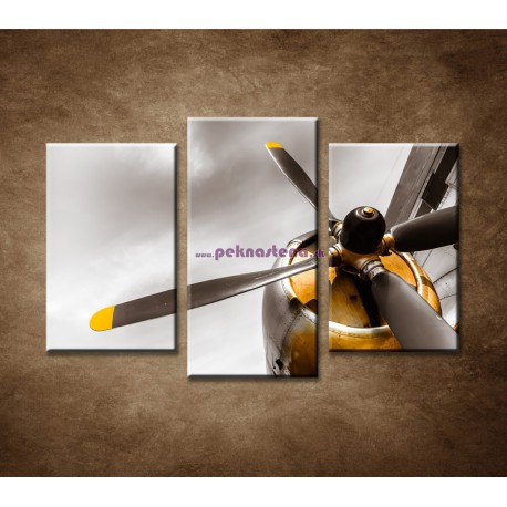 Obrazy na stenu - Staré lietadlo - 3-dielny 75x50cm