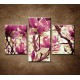 Obrazy na stenu - Kvety magnólie - 3dielny 90x60cm