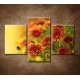 Obrazy na stenu - Jesenné chryzantémy - 3dielny 90x60cm