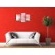 Obrazy na stenu - Ružová gerbera - 3dielny 90x60cm
