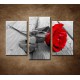 Obrazy na stenu - Červená ruža - 3dielny 90x60cm