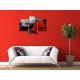 Obrazy na stenu - Červená gerbera - 3dielny 90x60cm