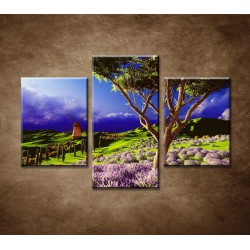 Obrazy na stenu - Levanduľové pole pred búrkou - 3dielny 90x60cm