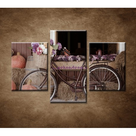 Obrazy na stenu - Bicykel a kvety - 3dielny 90x60cm
