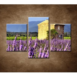 Obrazy na stenu - Levanduľové pole v Provence - 3dielny 90x60cm