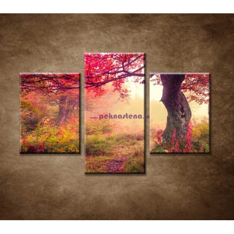 Obrazy na stenu - Jesenné stromy  lese - 3dielny 90x60cm