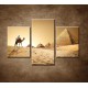 Obrazy na stenu - Ťava v púšti - 3dielny 90x60cm