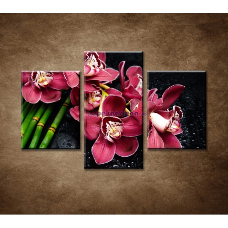 Obrazy na stenu - Bordová orchidea a bambus - 3dielny 90x60cm