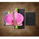 Obrazy na stenu - Orchidea a bambus - 3dielny 90x60cm