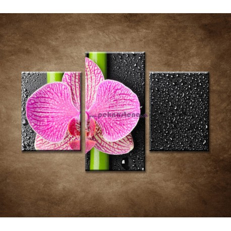 Obrazy na stenu - Orchidea a bambus - 3dielny 90x60cm