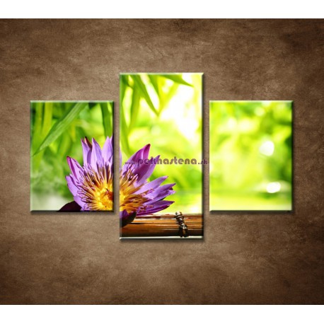 Obrazy na stenu - Lotos na vode - 3dielny 90x60cm