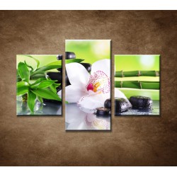 Obrazy na stenu - Bambusové vetvičky s orchideou - 3dielny 90x60cm