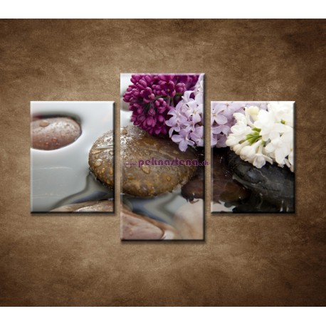 Obrazy na stenu - Orgovan a kamene - 3dielny 90x60cm