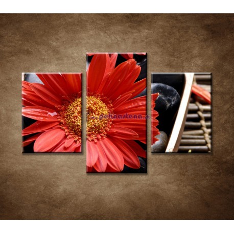 Obrazy na stenu - Červené kvety a kamene - 3dielny 90x60cm
