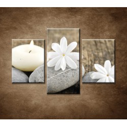 Obrazy na stenu - Sivé kamene a biele kvety - 3dielny 90x60cm