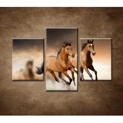 Obrazy na stenu - Hnedé kone - 3dielny 90x60cm