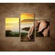 Obrazy na stenu - Slon v Afrike - 3dielny 90x60cm