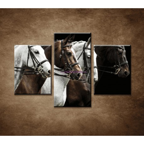 Obrazy na stenu - Štyri kone - 3dielny 90x60cm