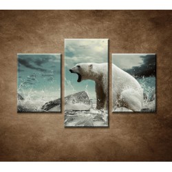 Obrazy na stenu - Polárny medveď - 3dielny 90x60cm
