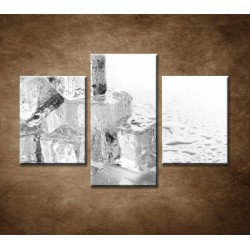 Obrazy na stenu - Kocky ľadu - 3dielny 90x60cm