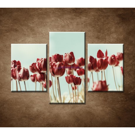 Obrazy na stenu - Retro tulipány - 3dielny 90x60cm