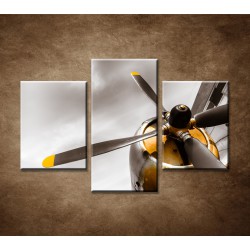 Obrazy na stenu - Staré lietadlo - 3dielny 90x60cm