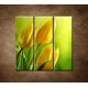 Obrazy na stenu - Žlté tulipány - 3dielny 90x90cm