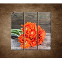 Obrazy na stenu - Oranžové gerbery - 3dielny 90x90cm