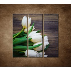 Obrazy na stenu - Prvé tulipány - 3dielny 90x90cm