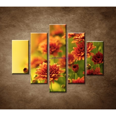 Obrazy na stenu - Jesenné chryzantémy - 5dielny 100x80cm